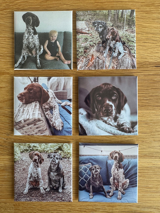 6 pack of 2.5"x2.5" Photo Magnets