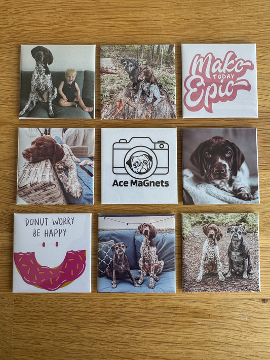9 pack of 2.5"x2.5" Photo Magnets