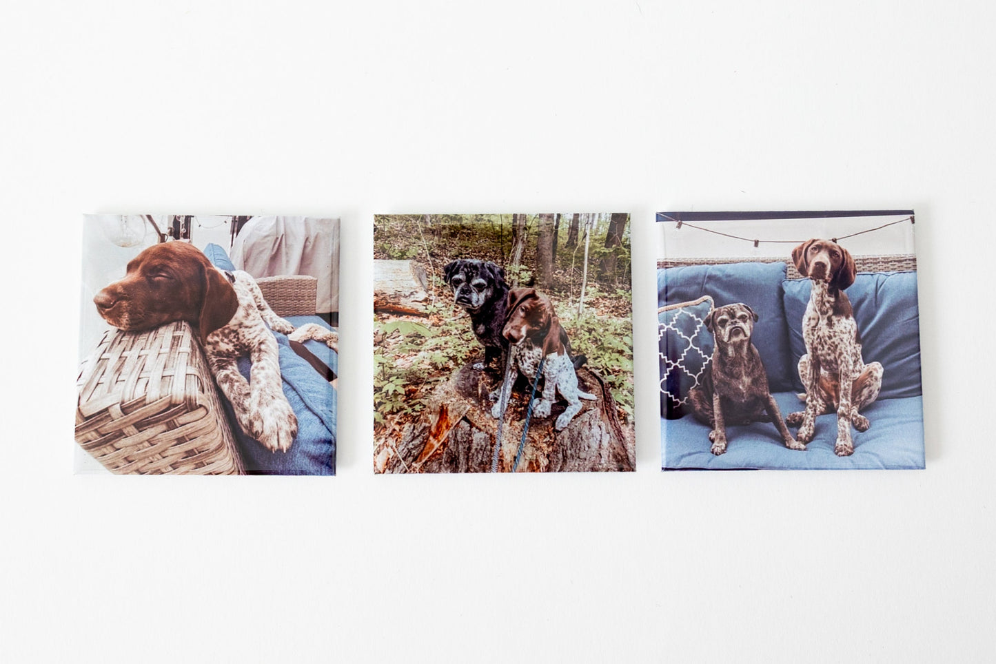 3 pack of 2.5"x2.5" Photo Magnets