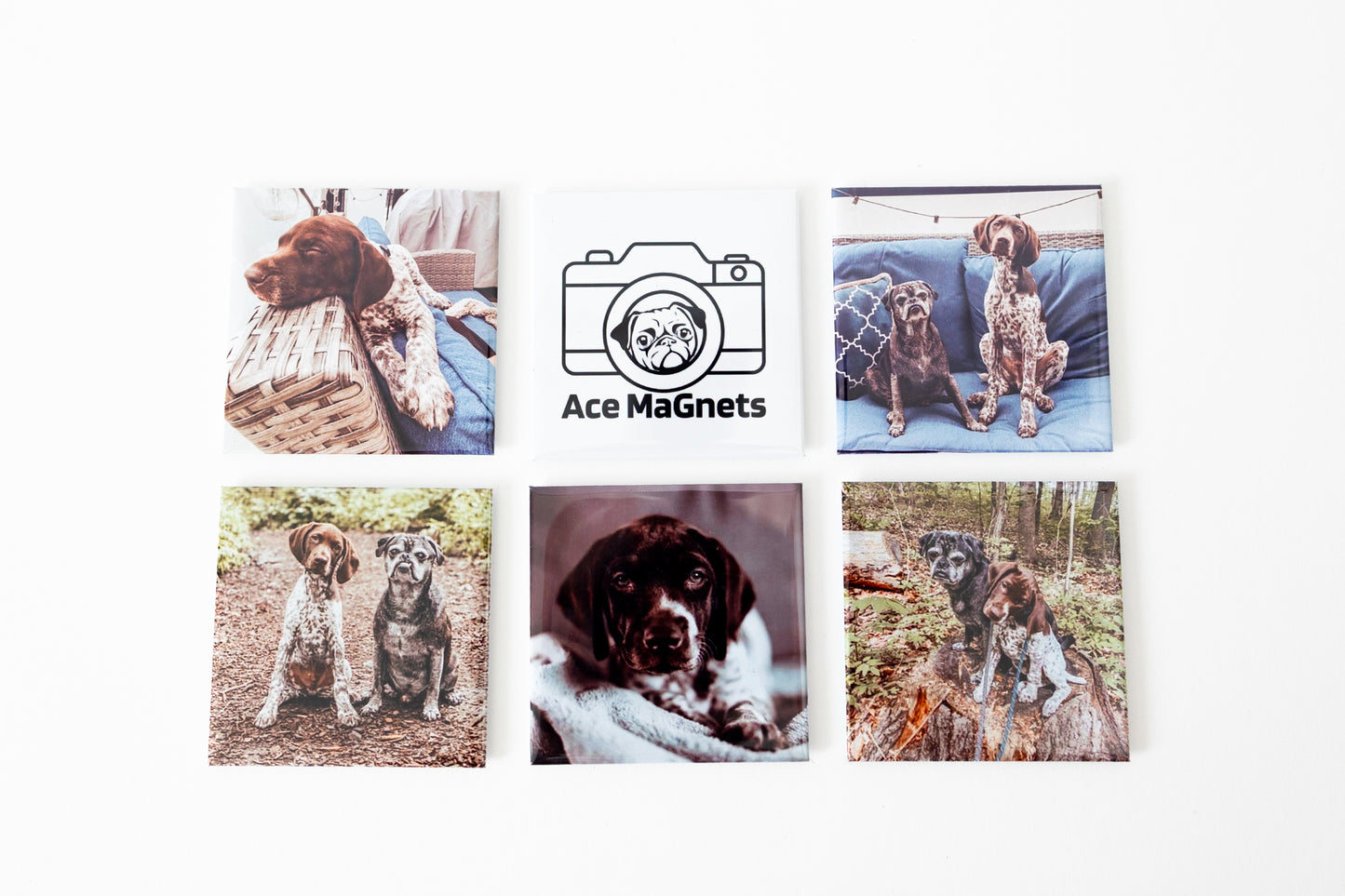 6 pack of 2.5"x2.5" Photo Magnets
