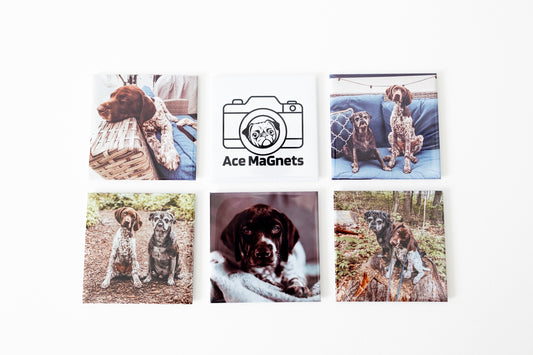 6 pack of 2.5"x2.5" Photo Magnets